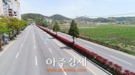 생태수도 순천, 철재 가드레일 대신 수목형 중앙분리대로 변경  