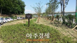 안산시 수인산업도로변 유휴지 ‘상록 도시 숲’ 조성