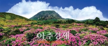 분홍빛 들녘…컬러링 바다 팔색조 매력 뽐내는 ‘천상의 정원’