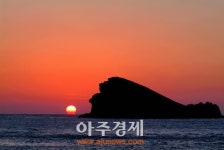 분홍빛 들녘…컬러링 바다 팔색조 매력 뽐내는 ‘천상의 정원’