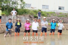 안산시의회 농촌 일손돕기 봉사활동 펼쳐
