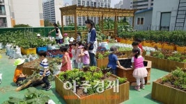 안양 달안동 옥상 텃밭으로 탈바꿈