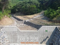 충남도, 여름철 산림 재해 예방 ‘온 힘’