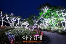 부여군, 이번 주말 ‘서동공원’ 밤 밝힌다