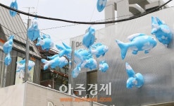 [AJU PHOTO] 가로수길에 나타난 푸른 물고기풍선 블루피쉬