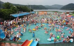 세종시, 고복야외수영장 15일 개장