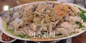 27km 드림로드서 피톤치드 샤워…해산물 요리로 배 채우니 별천지