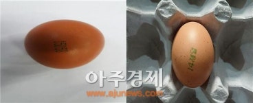 살충제 검출 계란 농장 2곳 추가 적발