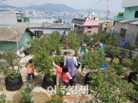 [아주 동영상-이 곳이 도시재생]부산 영도 봉산마을, 블루베리로 만든 행복마을