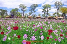 가을날 특별한 외출 생태와 문화가 어우러진 순천 둘러보기 