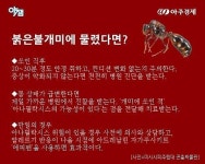 [카드뉴스] 살인개미 붉은불개미 물리면 사망?..꿀벌보다 독성 약하다