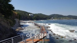 포항시, 시민 1만 명과 함께하는 ‘호미반도 해안둘레길 걷기’ 축제 열어
