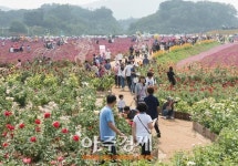 경기북부 테크노밸리, 경기북부 본가 양주로