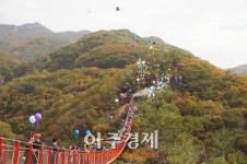 파주시 제6회 감악산 단풍맞이 축제