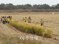 고양 장항습지에서 특별한 ‘가을 추수 체험’