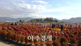 양주시, 150여만명 찾은 양주체험관광농원 폐장