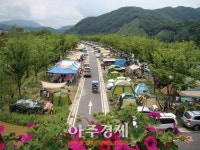 한탄강관광지 오토캠핑장 예약이 더 편리