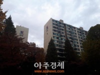 [르포] 분양가상한제 적용 지역 결정 코 앞...서초구 재건축 웃는 까닭은