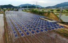 [단독] 1만4000ha 염해피해 농지, 태양광 용도 일시 사용 허용