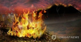 경북 영천 야산서 불“묘사 있었다”현재 진화 후 잔불 정리 중 