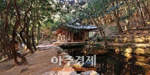 [강진 가볼만한 곳]정약용 18년 유배 다산초당·호남 3대 정원 백운동 별서정원  