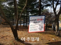 성남시 공중화장실 휴지통 없는 화장실 운영 