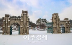 3년간 고려대학교 세종캠퍼스 정시지원율 상승세 지속 