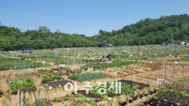 안산시 2018 주말농장 분양신청 받아 