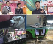 동물농장 MC들, “평창올림픽 예고편을 보는 기분이야!”  