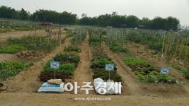 하남시 2018년 체험농장 텃밭 분양 
