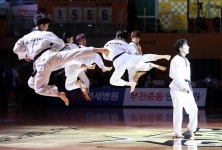 태권도, 대한민국 국기(國技) 됐다…개정안 국회 통과 
