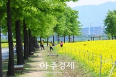 구리시, 유채꽃축제 기간 마을버스 연장 운행 