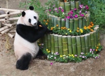 [김세구의 포토영상] 오늘의 컷 