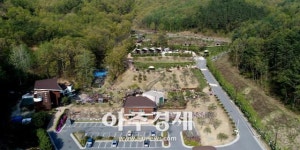 논산시, 양촌자연휴양림 힐링 휴가지로 ‘각광’ 