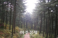 경기도산림환경연구소 잣향기푸른숲 인근 산촌생태마을과 협약 체결 