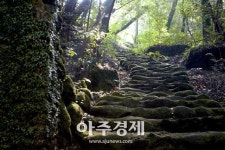 [기수정의 여행 in]폭염 지나간 제주,감수굴 밭담길 거닐며 여름과 안녕 