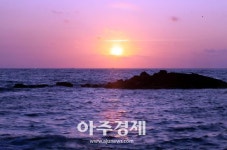 [기수정의 여행 in]폭염 지나간 제주,감수굴 밭담길 거닐며 여름과 안녕 