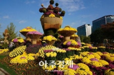 2018고양가을꽃축제, 일산 호수공원 