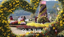 [태안군] 원북면 국화 축제 개최 