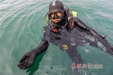 중국 칭다오서 아열대 바다생물 해마 발견 