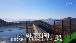 [광화문 영상갤러리] 최달수 갤러리&카페에서 바라본 호명호수 