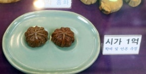 [포토] 호두 한쌍이 1억원 