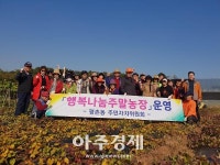 안양시 평촌동 ‘행복나눔 주말농장’ 고구마 수확 