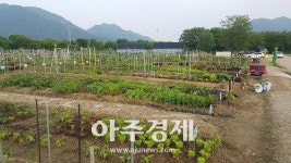 하남시 체험농장 내년 전 구획 신규 분양한다 