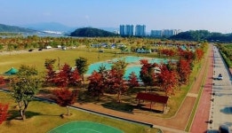 핑크뮬리 덕분? 구미 낙동강체육공원 개장 6년만에 이용객 20배 증가 