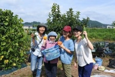 [NNA] 日 JAL 등 3사, 홍콩에서 일본 농가민박 상품 판매 나서 