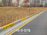 양주시, 주·정차 금지구역 안내체계 개선사업(Yellow Zone) 추진 