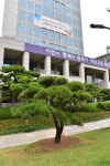 부산시, 올해의 뉴스로 23년만에 정권교체, 민선7기 출범 선정 