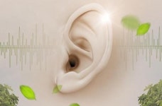 내년부터 만2세 이하 난청 환아 보청기 지원 