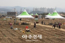  파주시 파주희망농장 접수 시작 